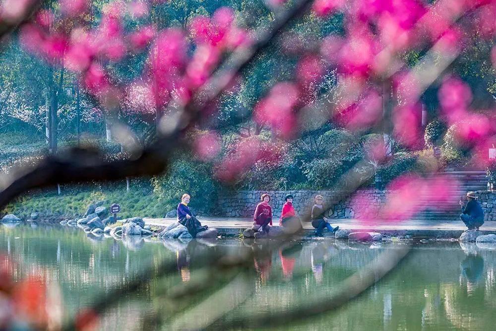 咱的冬青奥记忆：不只是把对手滑懵圈