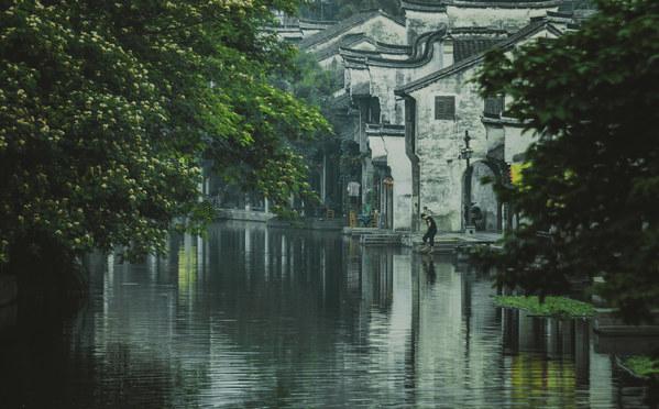 独眼萌怪吃金币