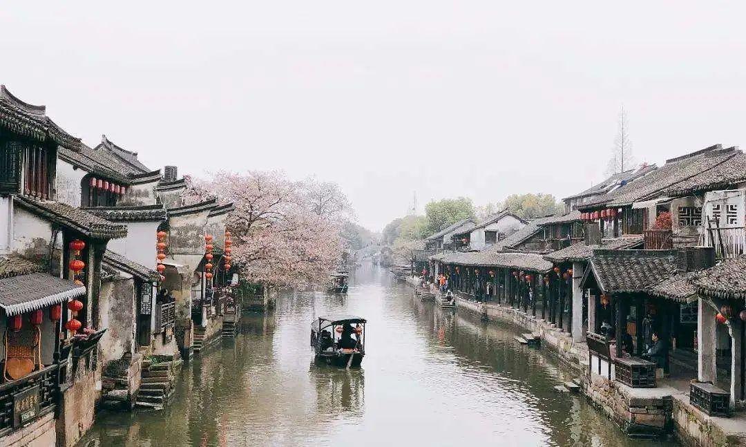 意大利宣布暂停向联合国近东救济工程处提供资金